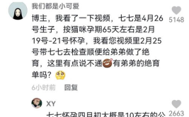 娱乐吃瓜君77,揭秘娱乐圈那些不为人知的幕后故事