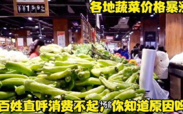 蔬菜价格大涨,解析近期菜价上涨背后的原因