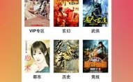 龙腾小说亚洲,烽火岁月里的传奇征程