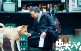 忠犬八公电影,忠犬八公的感人故事