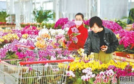 兰州鲜花速递,传递美好瞬间
