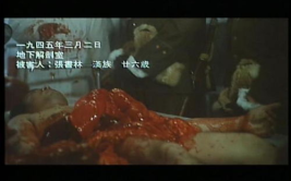黑太阳731电影,黑太阳731——日军细菌战罪行的真实再现