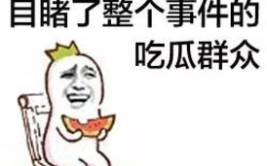娱乐吃瓜菌体育,娱乐吃瓜菌带你揭秘精彩瞬间