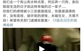 吃瓜娱乐营销号,揭秘娱乐圈幕后营销大揭秘
