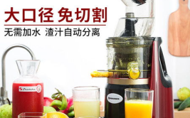 果蔬榨汁机,果蔬榨汁机的原理、特性与广泛应用