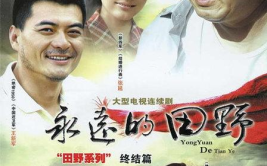 原野电视剧,烽火岁月里的青春传奇