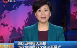 重庆卫视在线直播,精彩节目一览