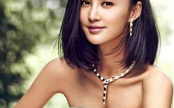 张歆艺个人资料,影视圈才女，公益爱心使者