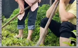 吃瓜群众娱乐八卦,吃瓜群众揭秘明星幕后故事