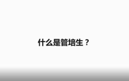 管培生是什么意思,企业未来领导者的人才孵化计划