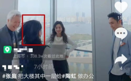 吃瓜娱乐圈陶虹视频,揭秘明星幕后故事