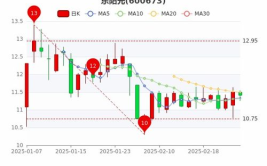 东阳光股票,涨势稳健，未来可期