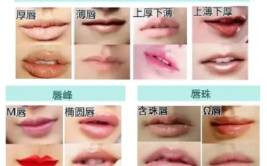 唇形图片大全,揭秘五种经典唇形，探寻你的独特魅力