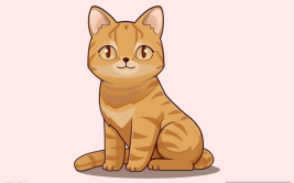 卡通猫咪图片,萌动视觉盛宴