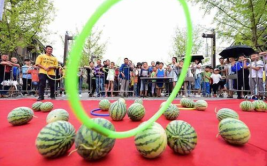 吃瓜嗨娱乐,揭秘网络热点背后的狂欢与反思
