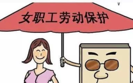 女职工劳动保护特别规定,特别规定下的全面解读与实施指南