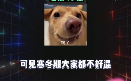 456娱乐八卦吃瓜,揭秘娱乐圈最新吃瓜事件