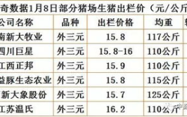 山东生猪价格,涨跌分析及市场趋势解读”