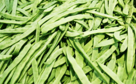 豆角图片大全大图,豆角图片大全大图赏析