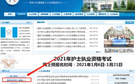 中国卫生人才网官网登录入口,便捷通道开启职业新篇章