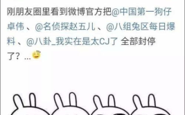 娱乐吃瓜骂人事件,吃瓜群众热议骂人事件，揭秘明星背后真相