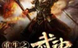 小说武神,天赋异禀少年逆天崛起，修炼巅峰，成就传奇之路