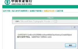 农行u盾证书下载,农业银行U盾证书下载与安装指南