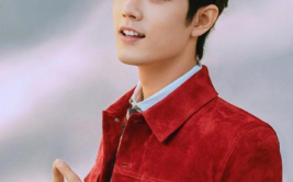 娱乐圈吃瓜明星代号肖战,娱乐圈神秘吃瓜明星的崛起之路