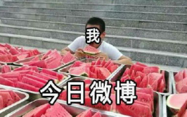 吃瓜落,揭秘娱乐圈背后的故事与真相