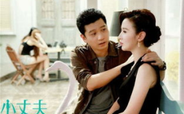 电视剧小丈夫,婚姻危机下的情感博弈与自我救赎