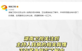 娱乐吃瓜流程,揭秘明星幕后故事，带你领略娱乐风云变幻