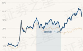 中银收益基金,稳健投资之道，解析其投资策略与业绩表现
