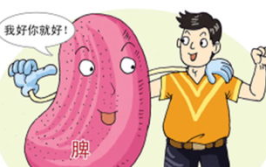 脾胃虚寒怎么调理,饮食、生活与中医方法全方位解析