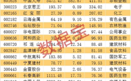 社保基金重仓股,行业布局与投资策略深度解析